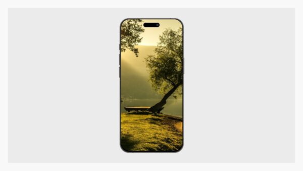 Smartphone