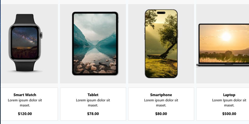 Electronic Products