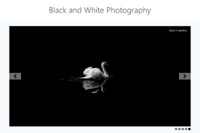 Black and White Photography