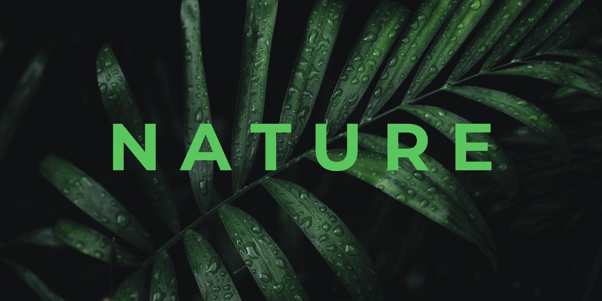 Nature Site slideshow