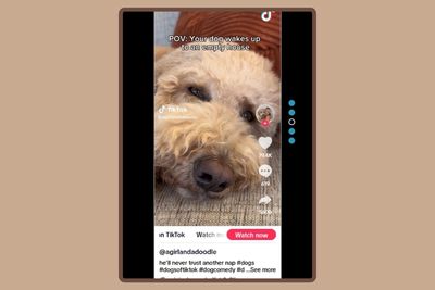 TikTok Vertical Videos