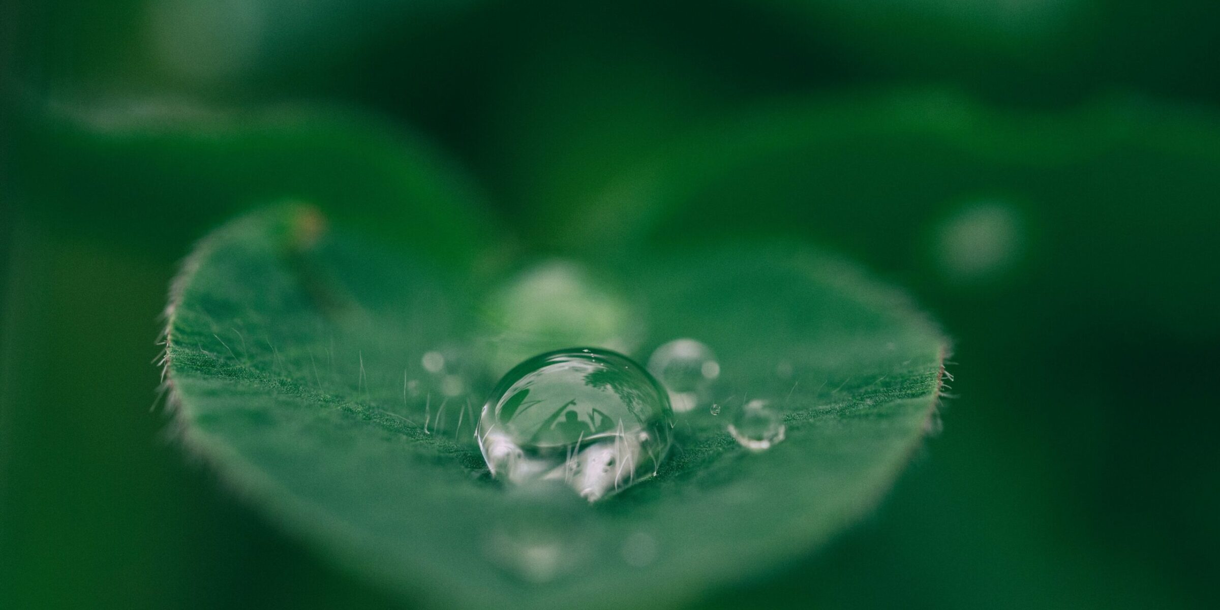 Nature Site slideshow