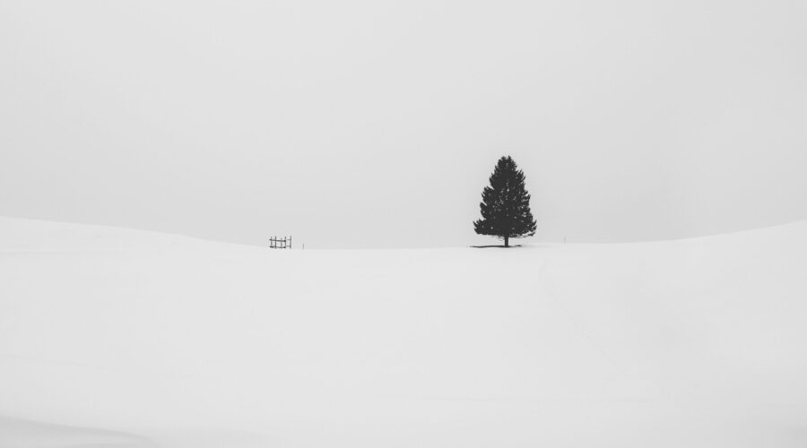 Black and White Photography