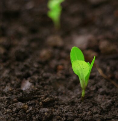 Carousel with Captions