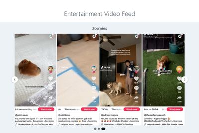 Dog Videos