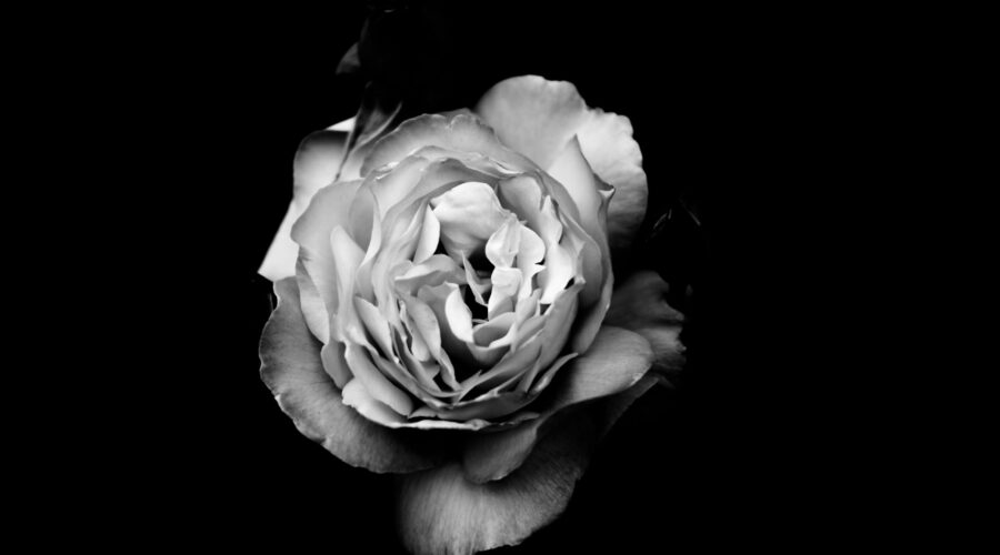 Black and White Photography