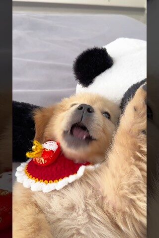 I could listen to this on repeat, all day everyday 🥹❤️