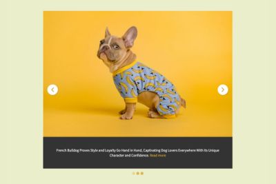 Playful Pets